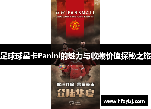 足球球星卡Panini的魅力与收藏价值探秘之旅